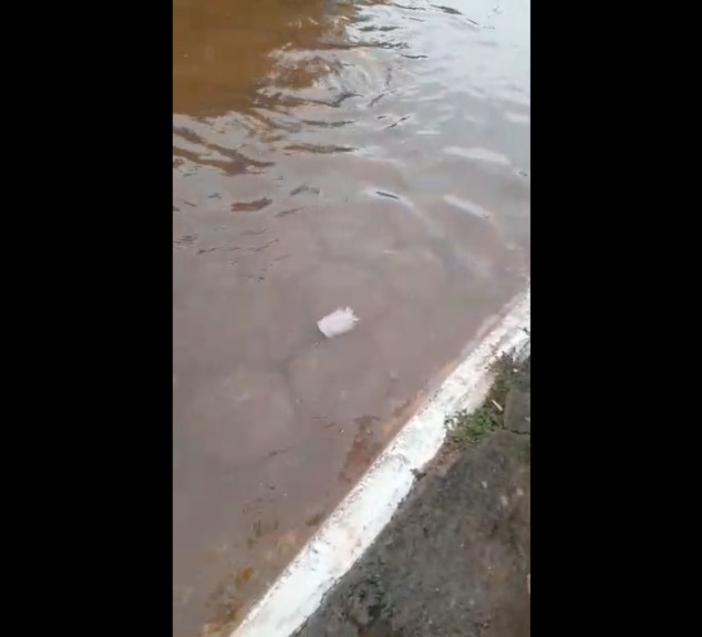 captura-de-tela-2022-02-24-as-08.55.23
