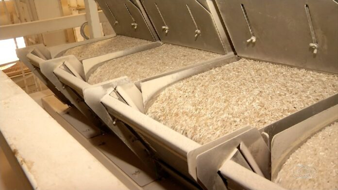 a-freme-arroz-ja2-