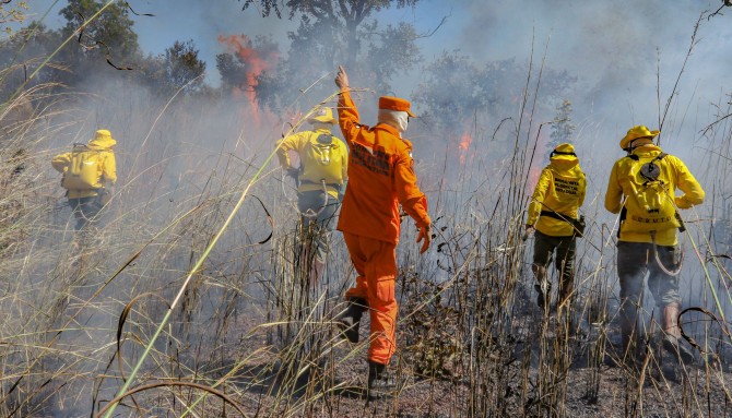 bombeiros-militares-combatem-incendio-florestal-em-natividade-sudeste-do-tocantins