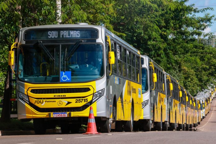 onibus-palmas
