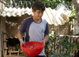 Menino de 11 anos que montou granja no TO faz doação para crianças carentes e inspira colegas