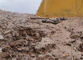 Sucuri de quase 4 metros é retirada de telhado de casa no TO; veja vídeo