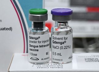 Combate à dengue entra em Dia D com hospital lotado em Araguaína e alta de casos no TO